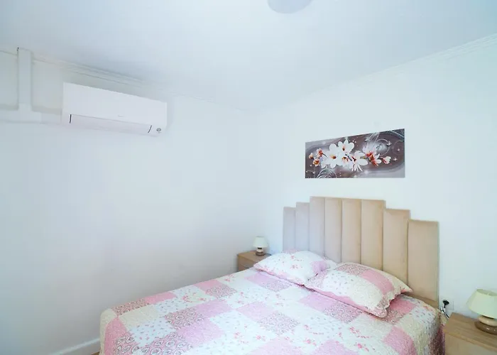 Appartement Du Forum,La Gare, 50 M2 , Climatisation, Garage, Cour